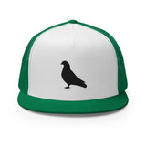 Pigeon