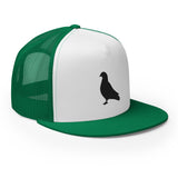 Pigeon