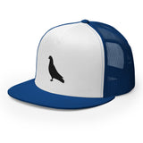 Pigeon