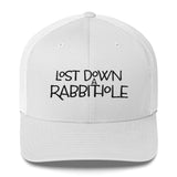 Lost Down a Rabbit Hole