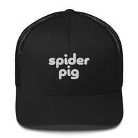 Spider Pig