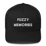 Fuzzy Memories