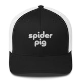 Spider Pig