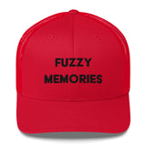 Fuzzy Memories