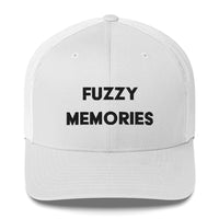 Fuzzy Memories