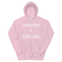 Everything is Evrythin